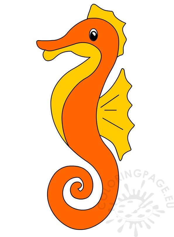Cute Orange Seahorse image