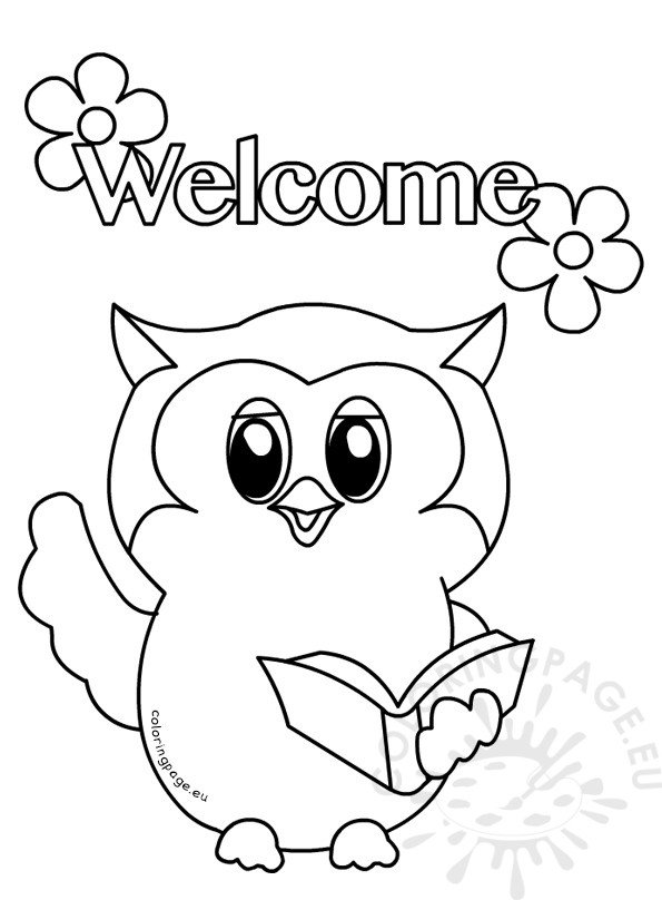 Owls Primary Classroom Colouring Page