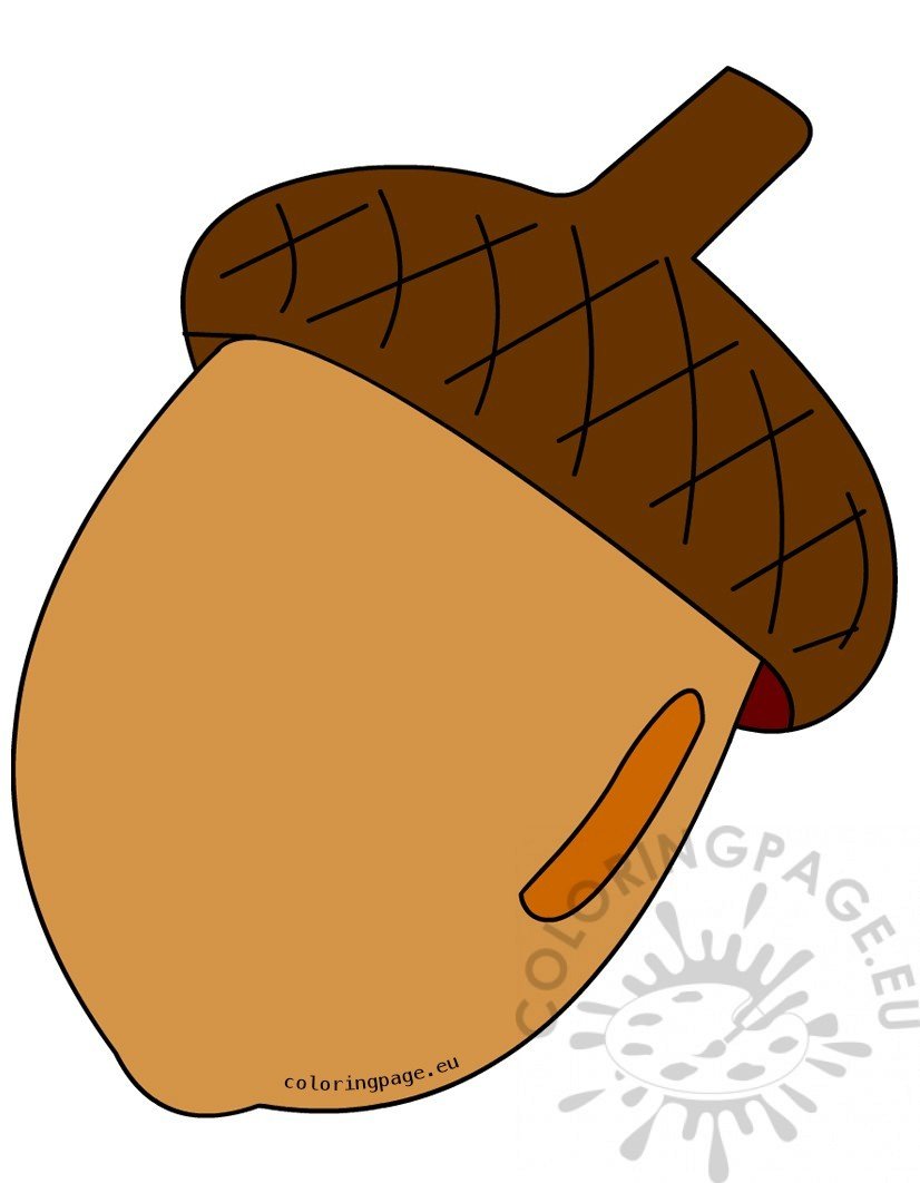 Autumn Acorn Brown Coloring Page