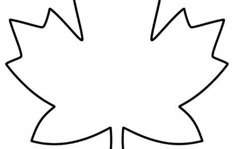 maple leaf shape