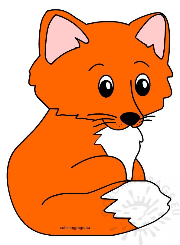 small orange white fox 2