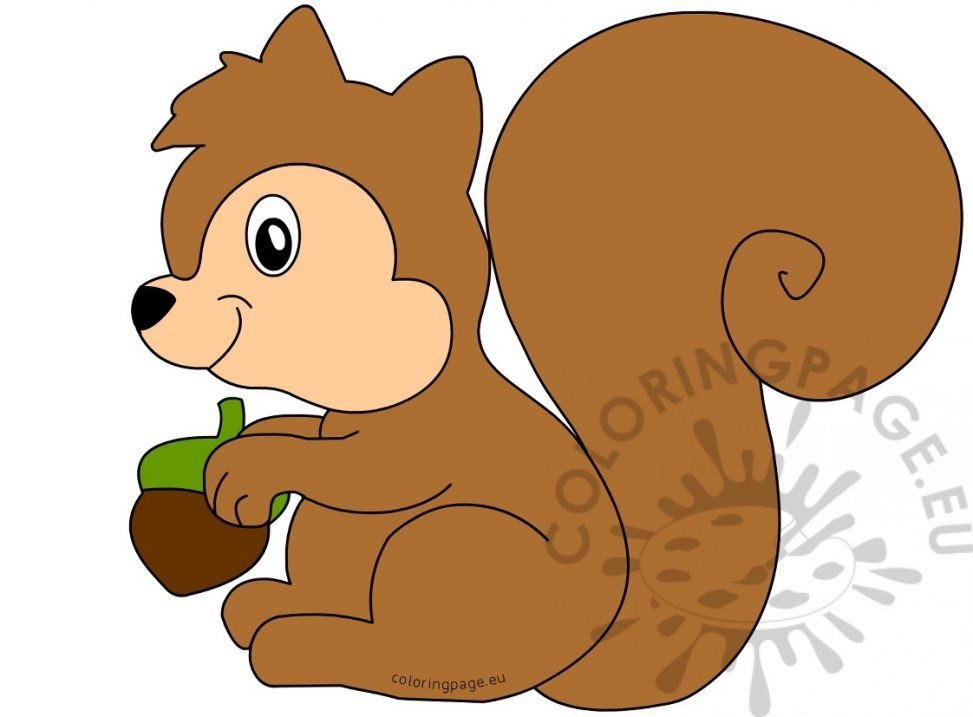 squirrel-acorn – Coloring Page