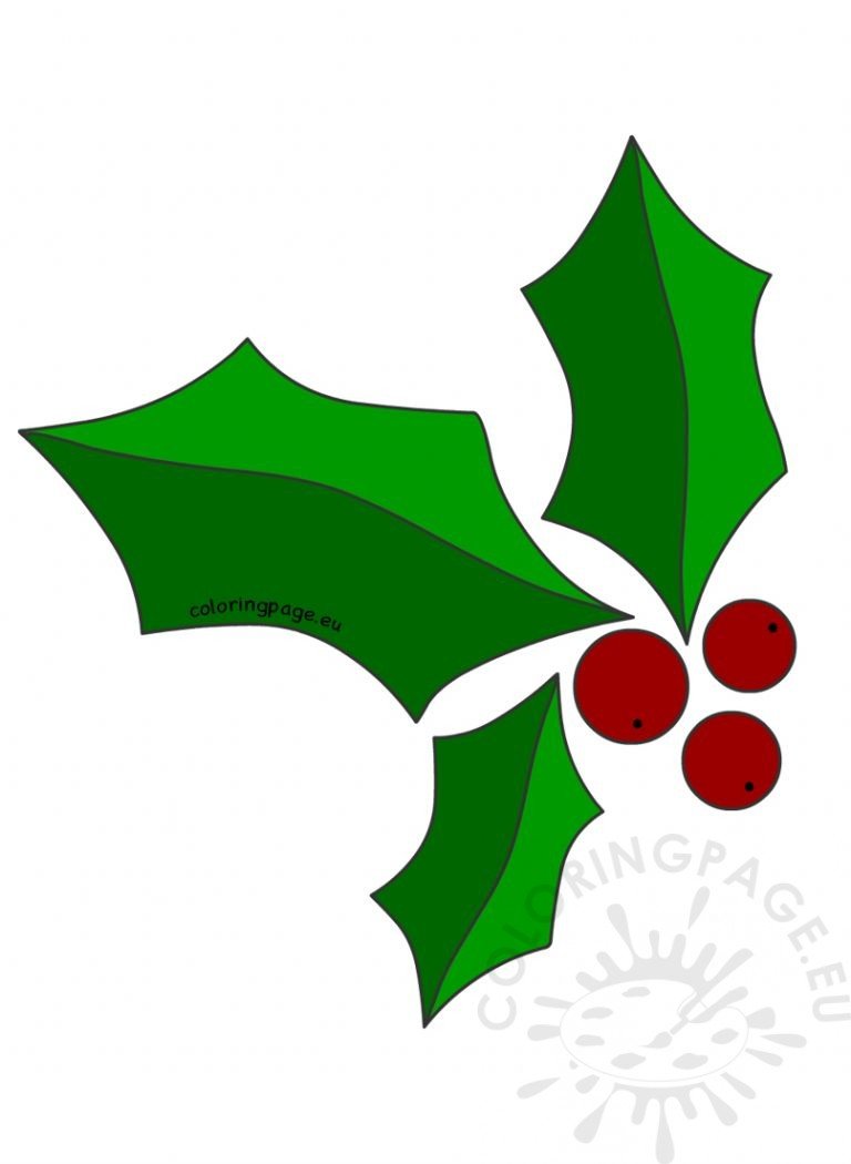 Christmas Holly Printable Template Coloring Page