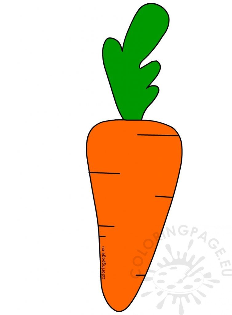 Orange carrot on white background coloring page