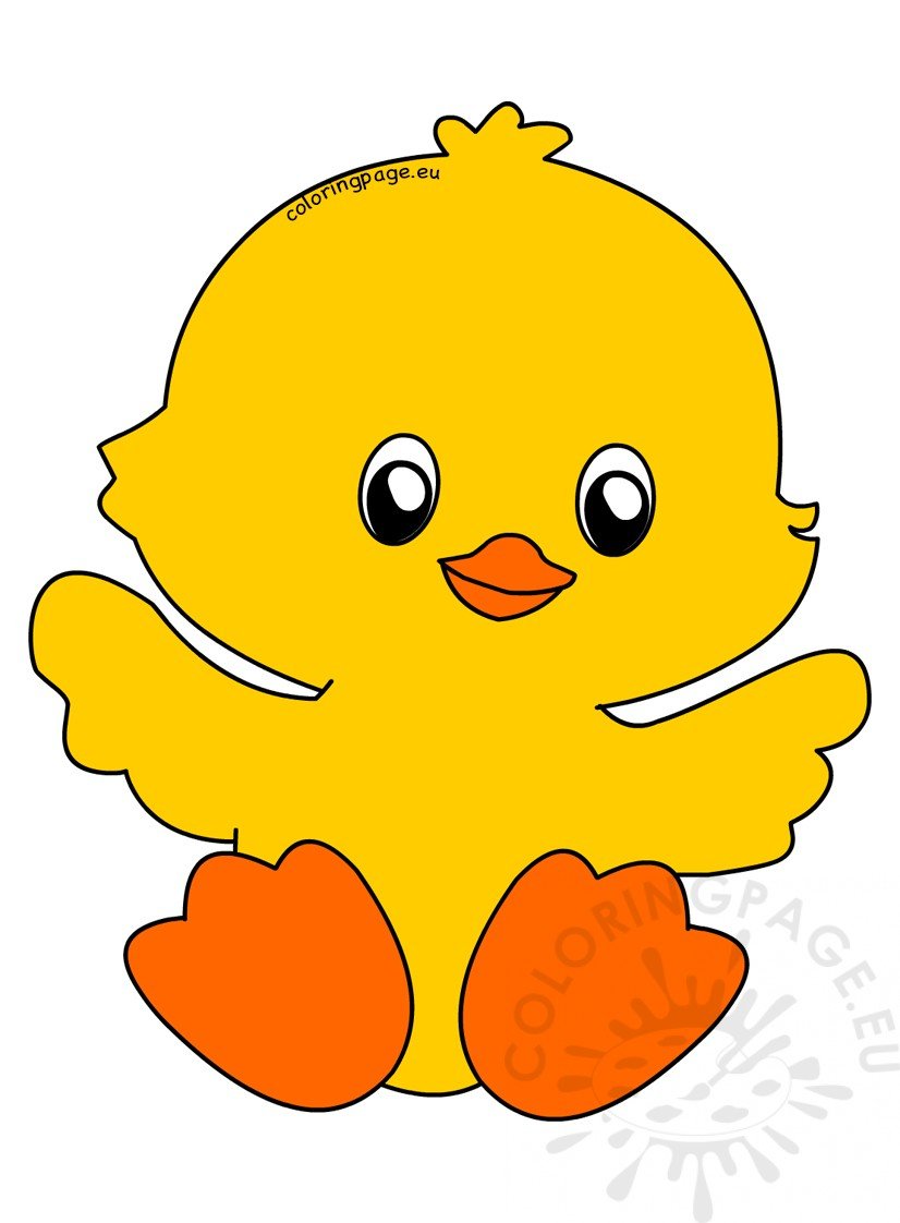 easter little yellow chick
