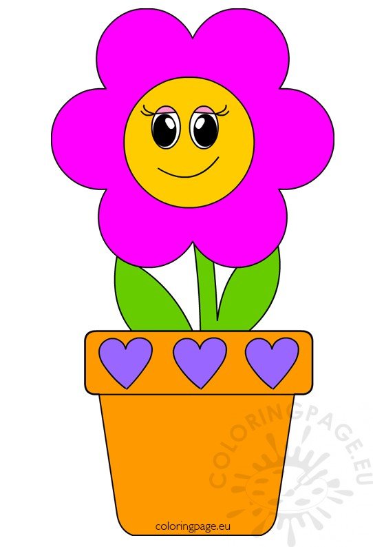 pink flower pot