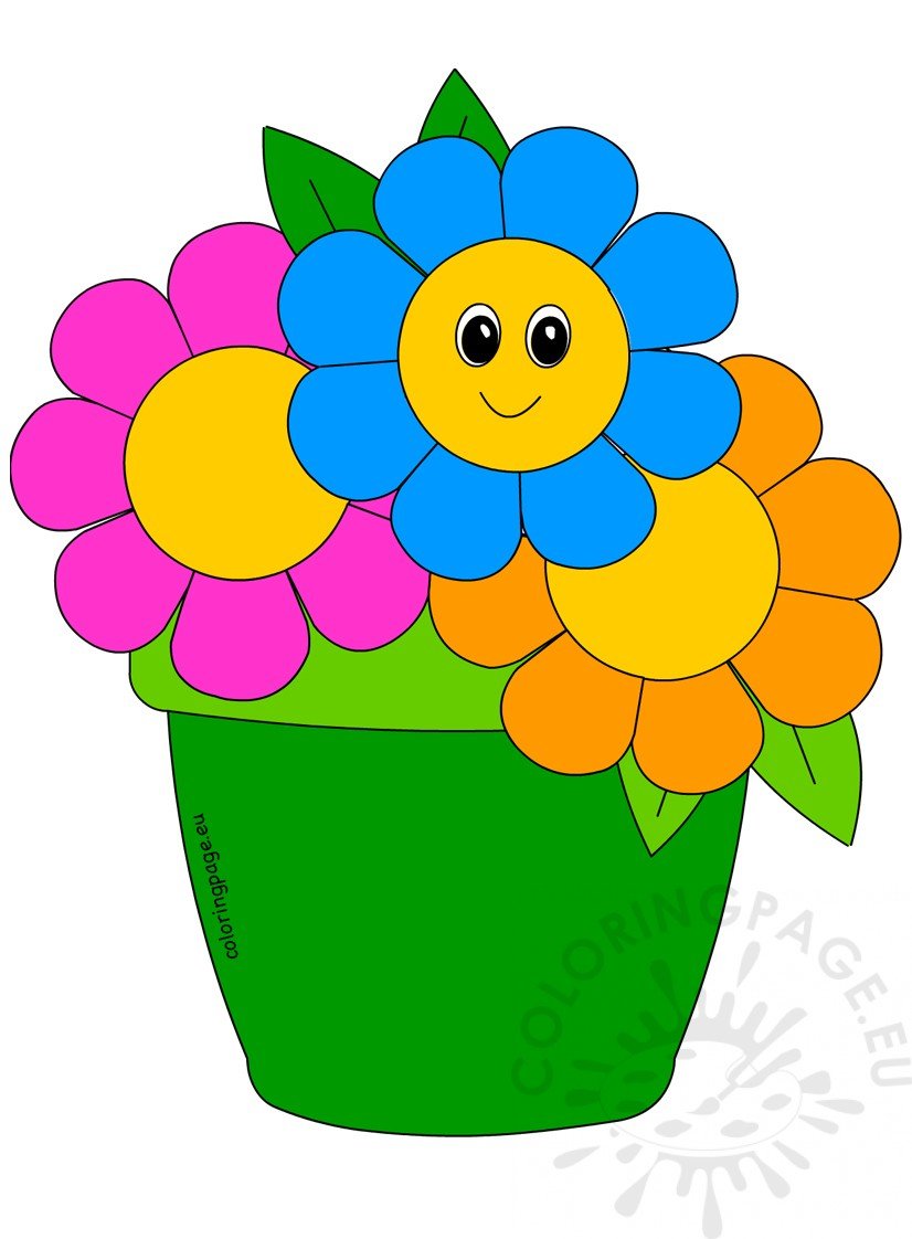 vase flowers image