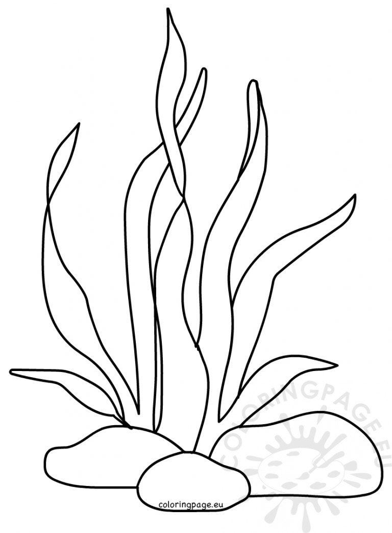 Summer – Page 9 – Coloring Page