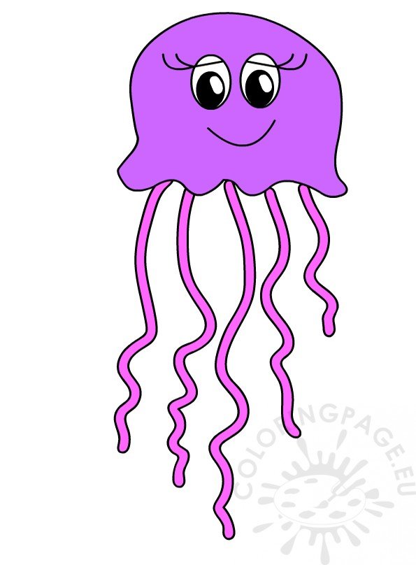 jellyfish 4