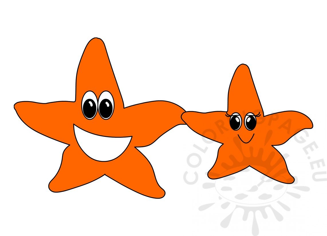 two starfish