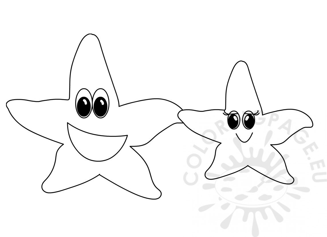 Two starfish Marine Life