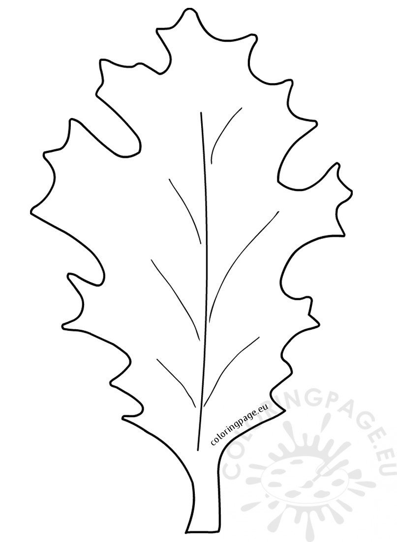 large oak leaf