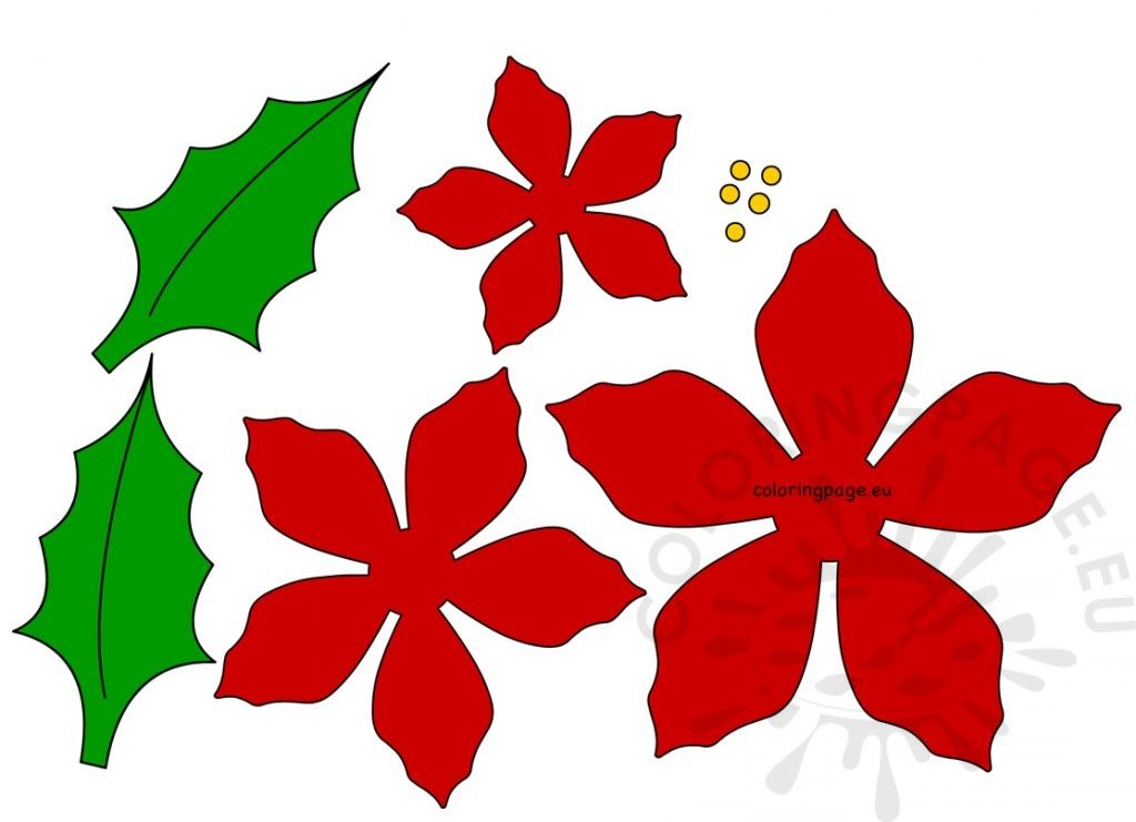Poinsettia Red Christmas Flower printable Coloring Page