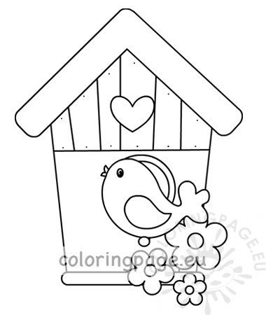 bird sit wooden birdhouse