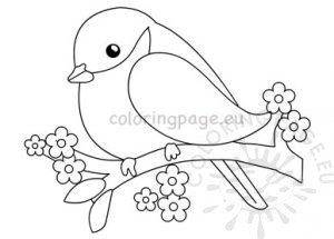 Cute bird on the tree branch vector | Coloring Page