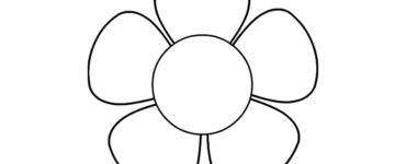 five petal flower blossom