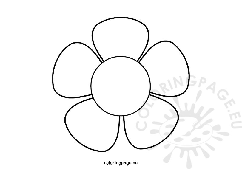 five petal flower blossom