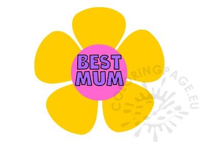 best mum flower2