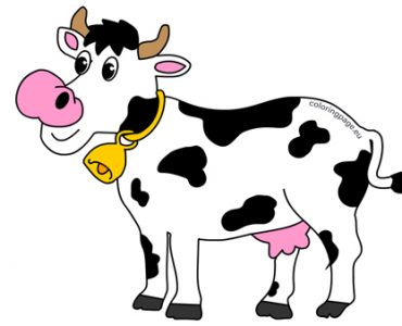 animal cow3