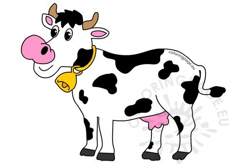 animal cow3