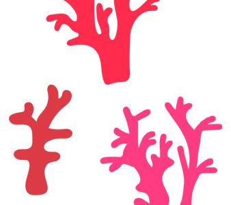 coral