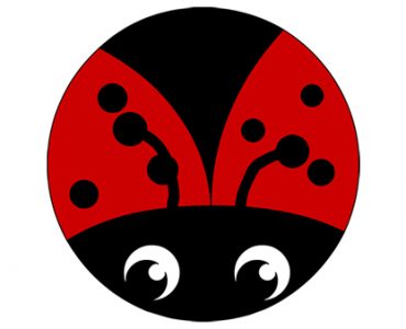ladybug red