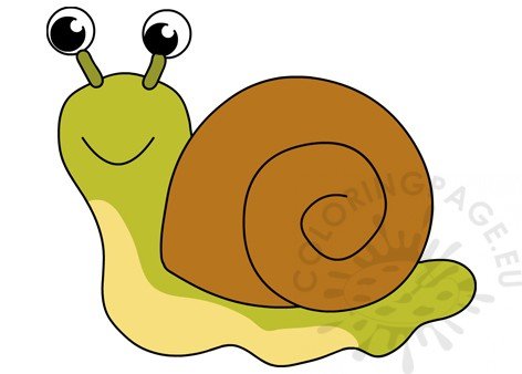 snail vector