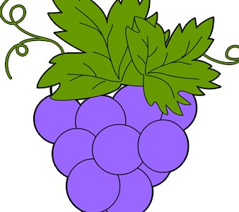 bunch grapes2