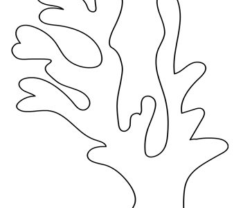 coral template