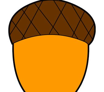 fall acorn