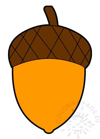 fall acorn