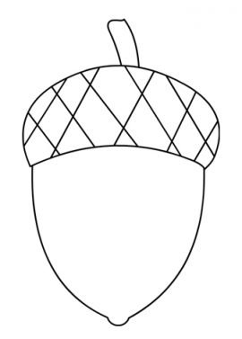 Acorn template free printable | Coloring Page