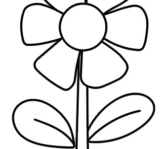 flower 6 petals