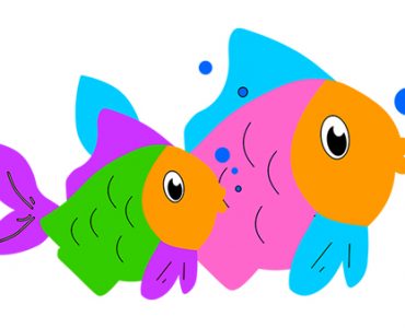 marine fish2