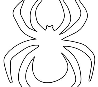 spider template