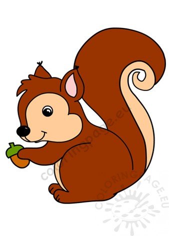 squirrel acorn