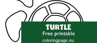 turtle craft template