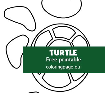 turtle craft template