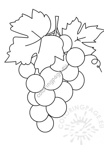 Download Bunch of grapes template - Coloring Page