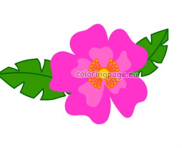 tropical flower pattern2