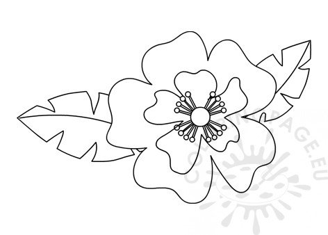 Tropical Flower Coloring Page