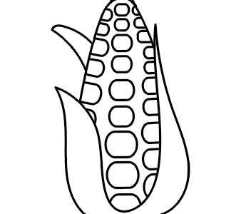 Corn cob with leaves