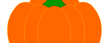 Orange Pumpkin Vegetables