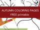 autumn coloring