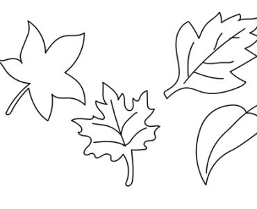 autumn leaves shape