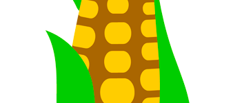 corn cob leaves2