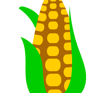 corn cob leaves2