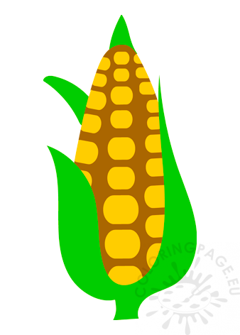 corn cob leaves2