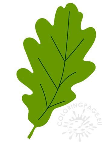 green acorn leaf
