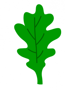 Free Green Oak leaf | Coloring Page